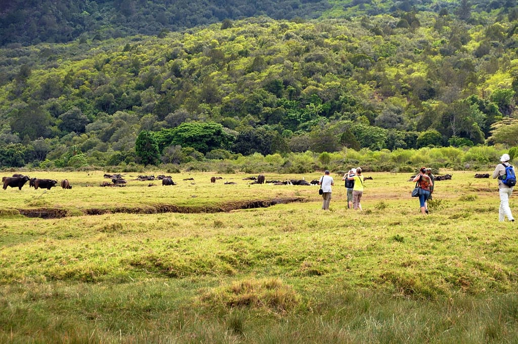 5 optionale Aktivitäten für Ihre Safari in Kenia