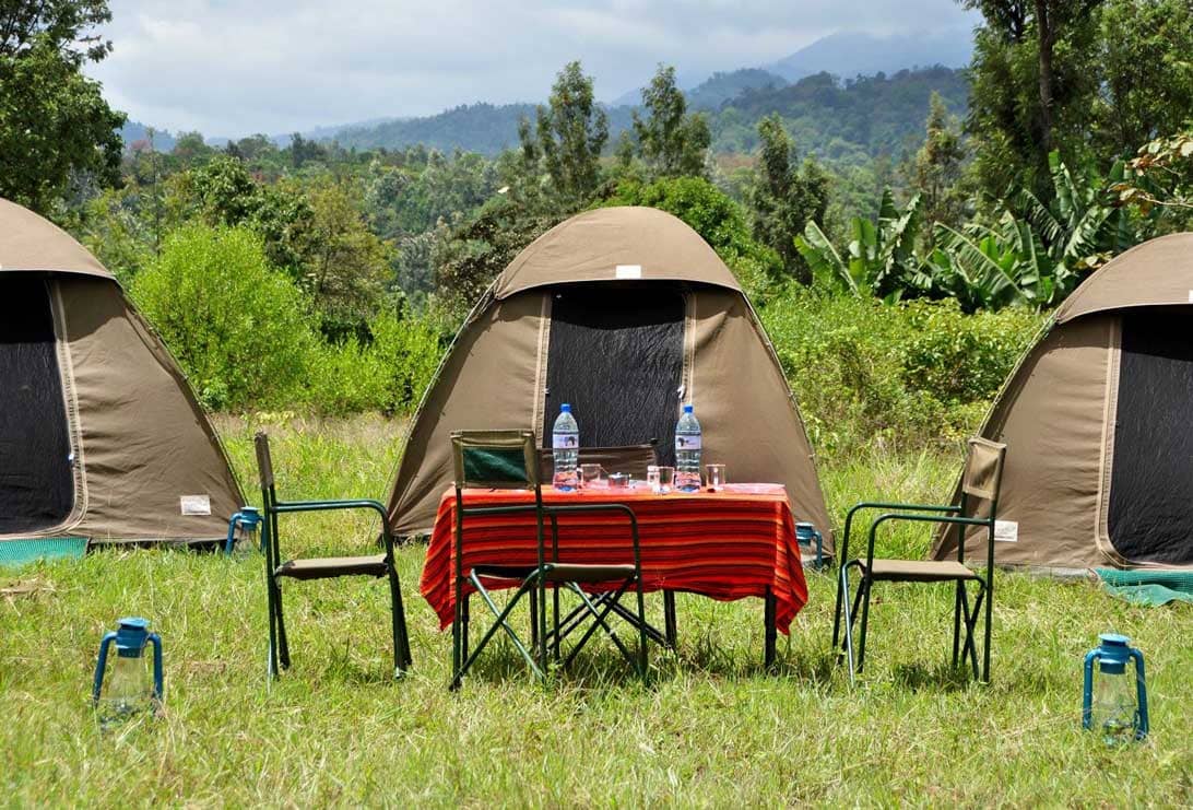 The Great Migration hautnah – 10-tägige Camping Safari für 3.560€