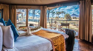 Ashnil-Samburu-Camp-sits-in-Buffalo-restaurant