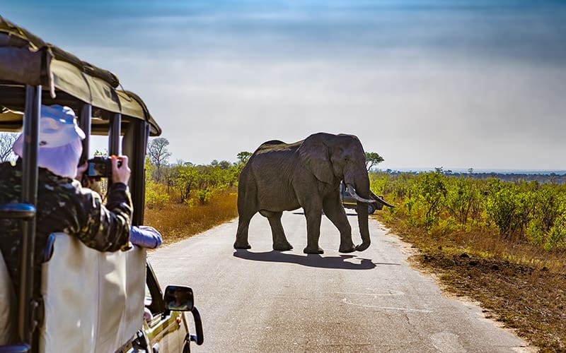 picture-gate-to-africa-ausfluege-touren-suedafrika-1
